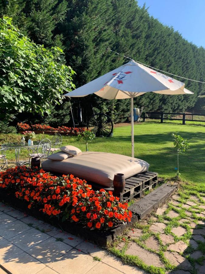 Agroturismo Anziola โอยาร์ทชุน ภายนอก รูปภาพ