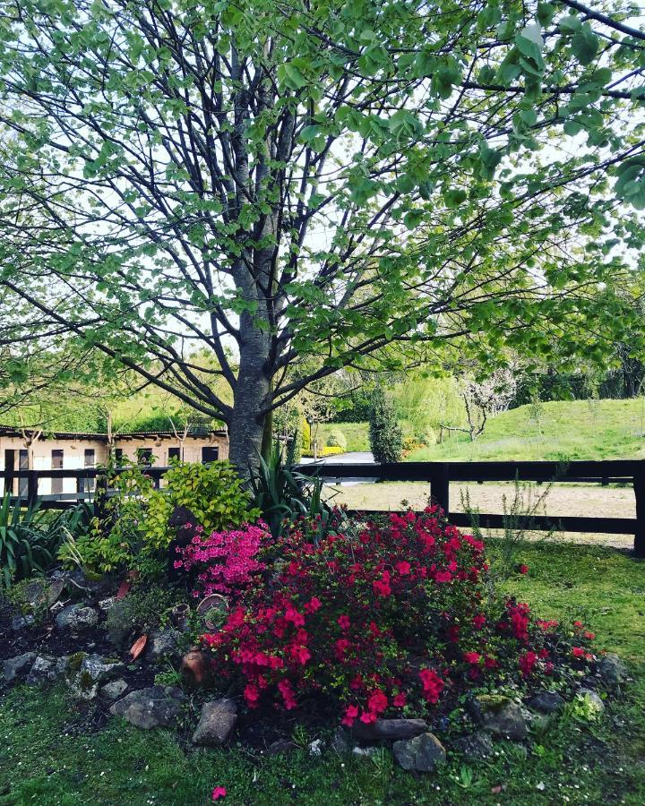 Agroturismo Anziola โอยาร์ทชุน ภายนอก รูปภาพ