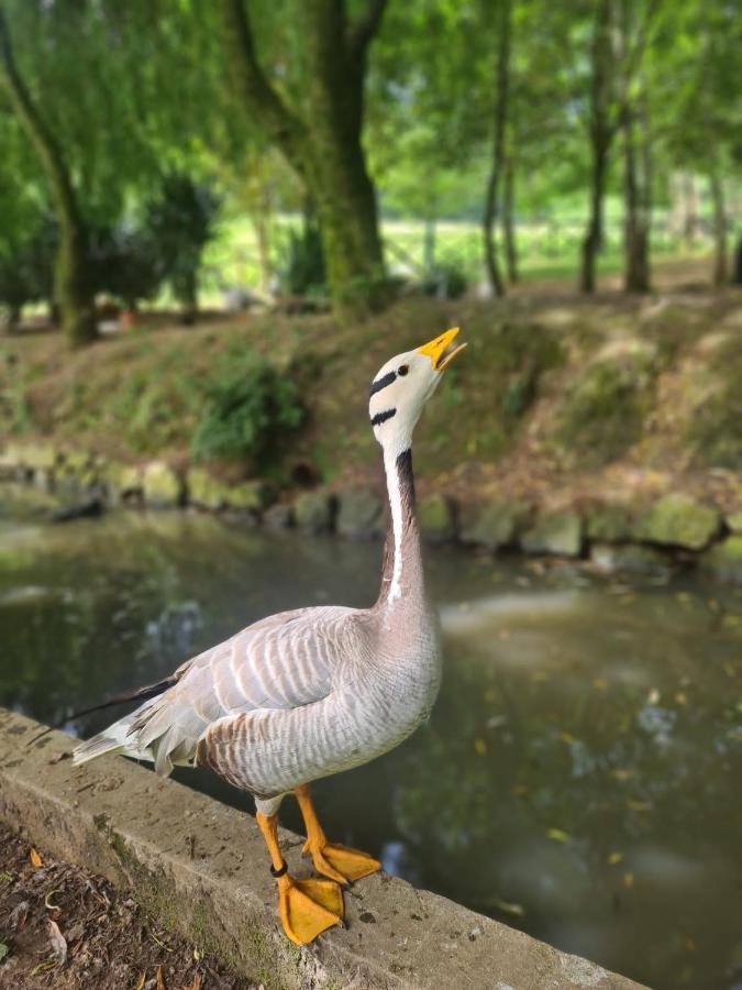 Agroturismo Anziola โอยาร์ทชุน ภายนอก รูปภาพ